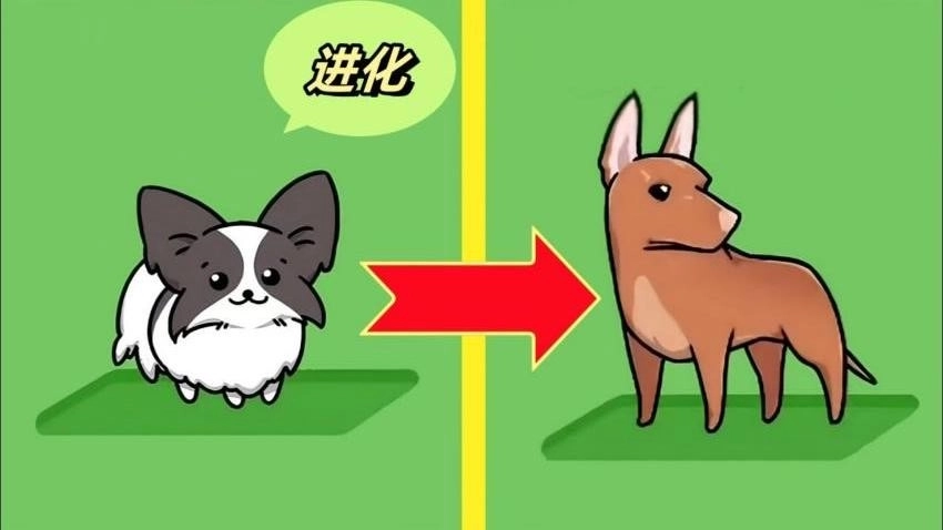 动物合成大作战