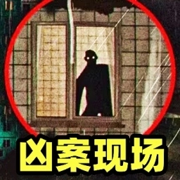 目击凶杀案游戏