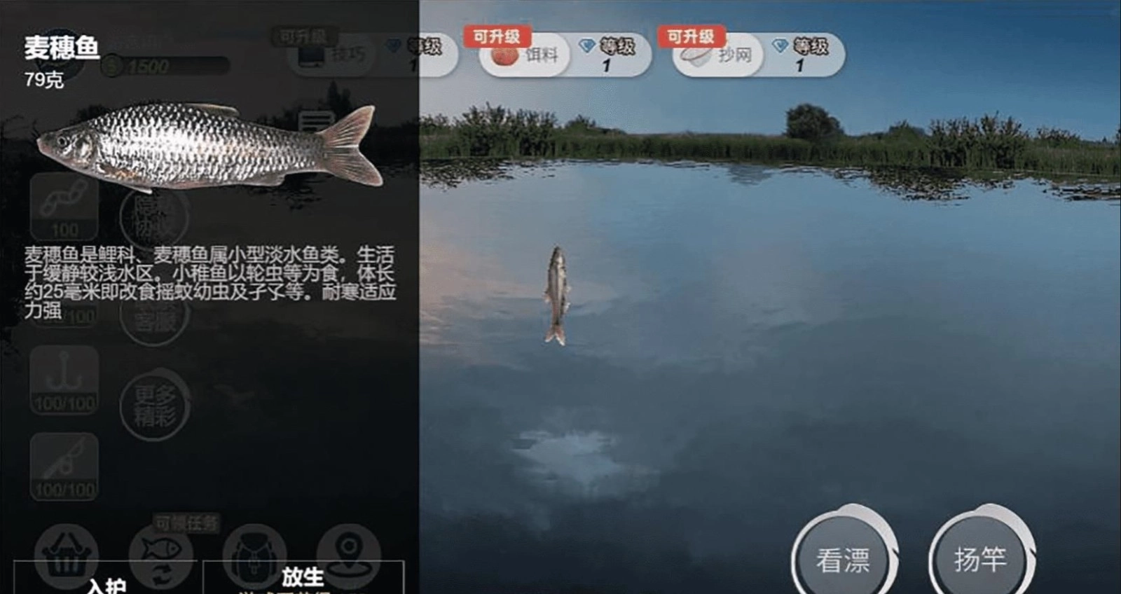 钓鱼绝不空军(4)