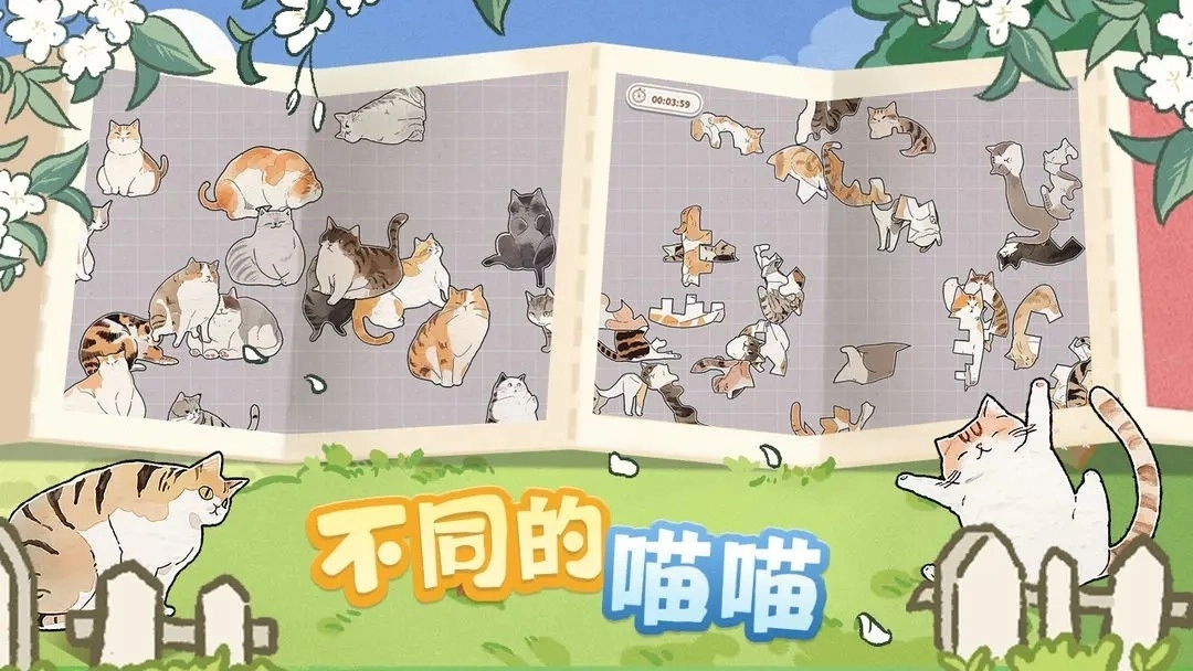 挤在一起的猫猫图3