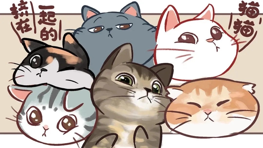 挤在一起的猫猫图4