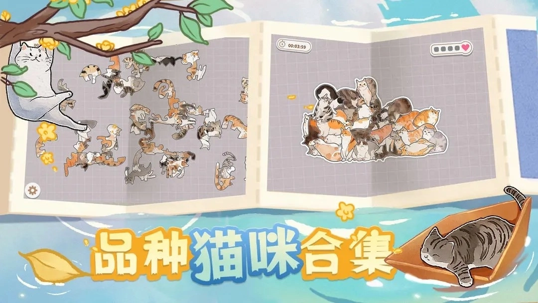 挤在一起的猫猫图5