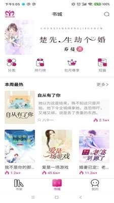 朵米小说图2