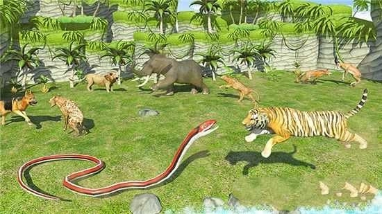 动物真实战争策略(3)