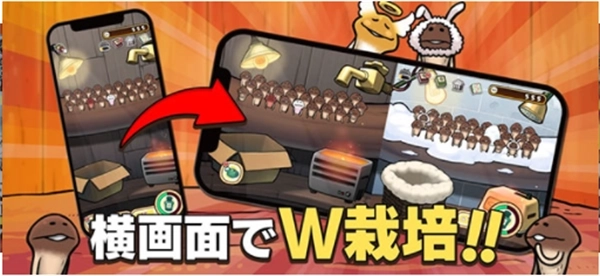 原始菇菇栽培实验室(3)