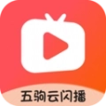 五驹云闪播