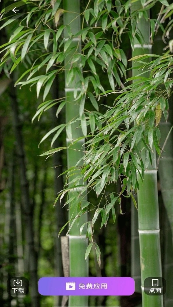 壁纸多多免费(1)