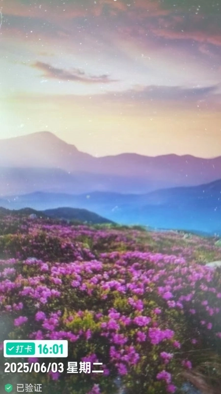 工程水印相机打卡拍照