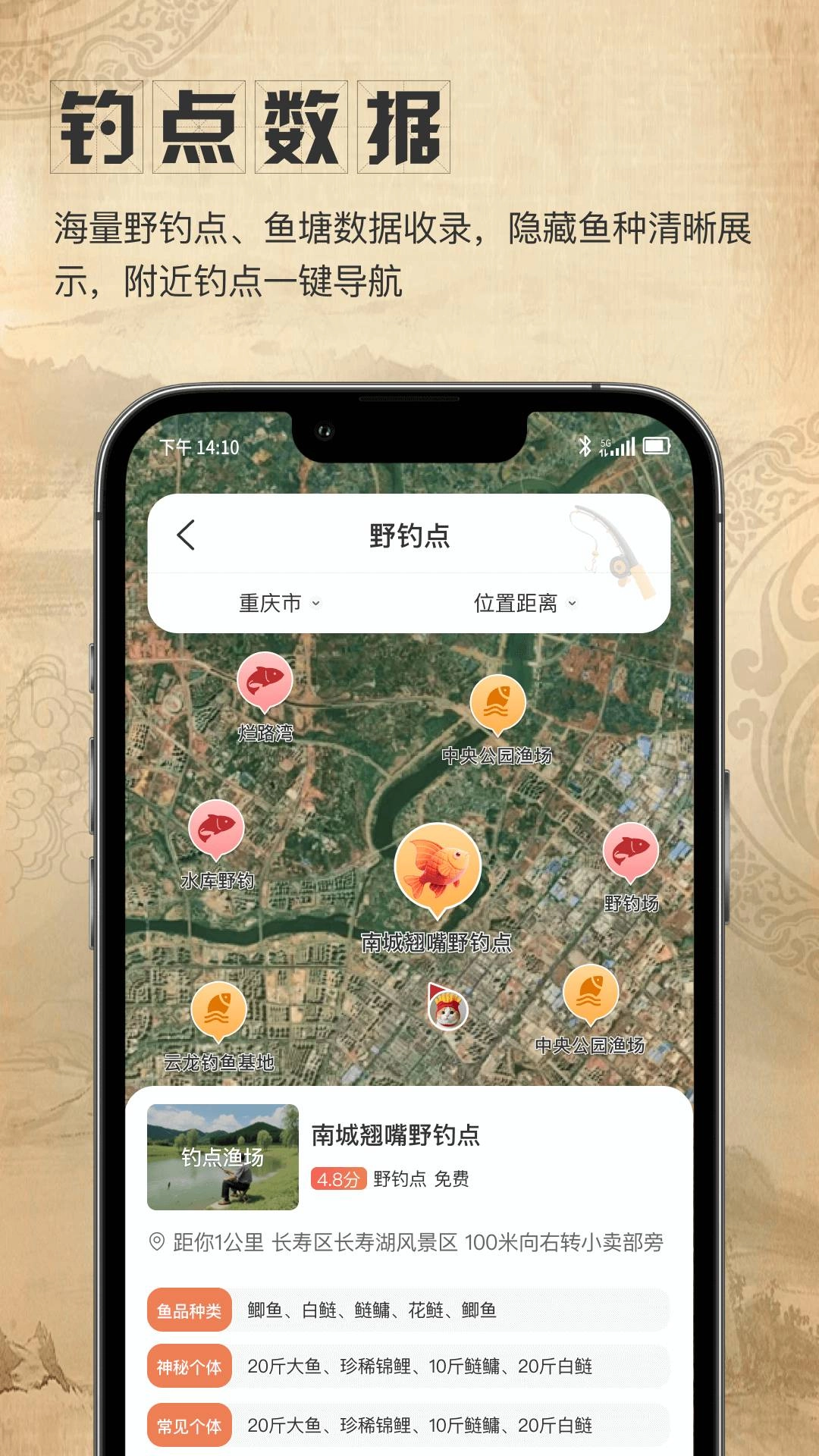 星盘卫星地图图3