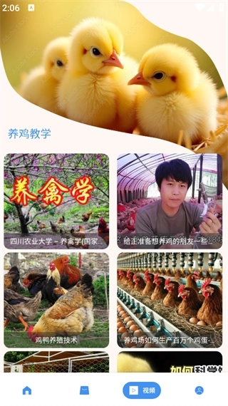 养鸡宝