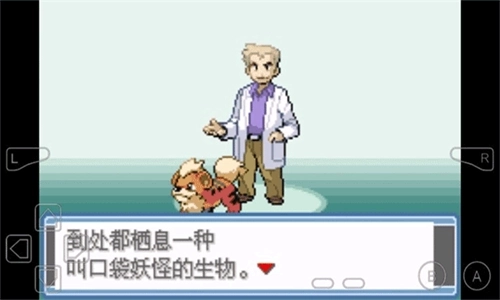 口袋妖怪永恒之焱XYZ神兽版