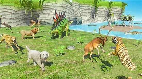 动物真实战争策略(4)