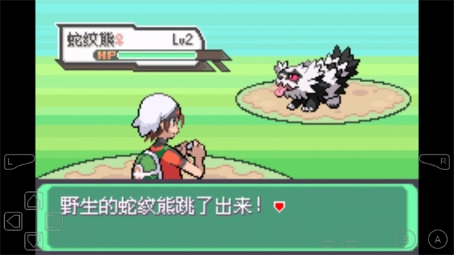 口袋妖怪究极绿宝石最新版(5)