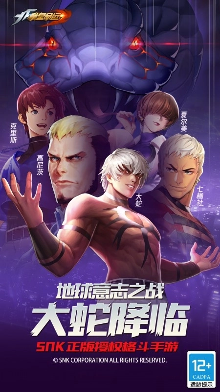 拳皇命运 拳皇命运