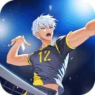 排球故事国际服