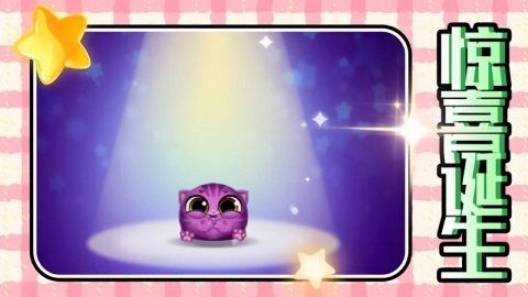 幻想宠物乐园(2)