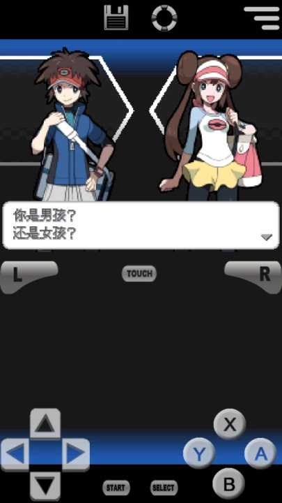 口袋妖怪黑白2汉化版(2)