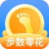 步数零花