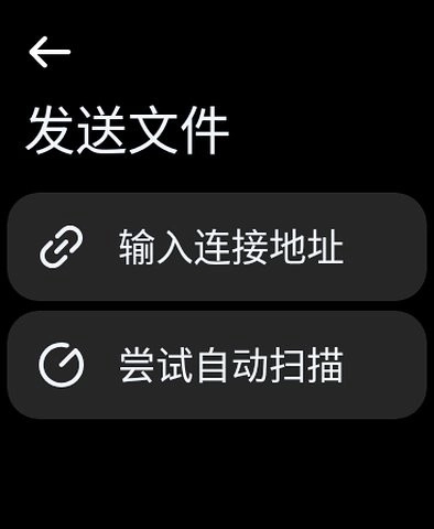Next快传手表版