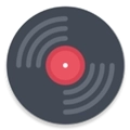 Vinyl Music Player