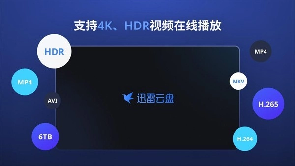 迅雷云盘tv版图4