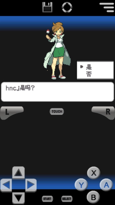口袋妖怪黑白2汉化版(4)
