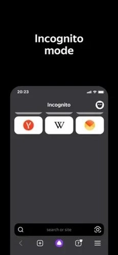 俄罗斯引擎浏览器(6)