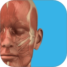 三维人体解剖学图谱v1.0.0