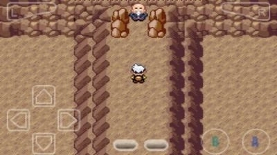 口袋妖怪究极智娜随机版