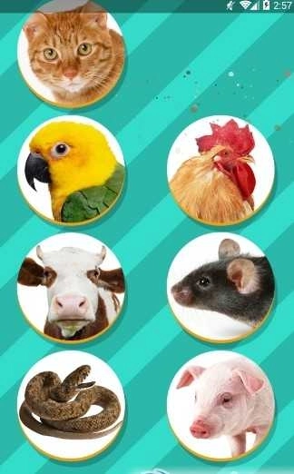 狗语翻译器(中文)免费版