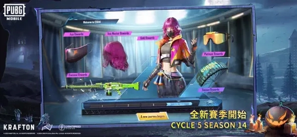 和平精英国际服图5