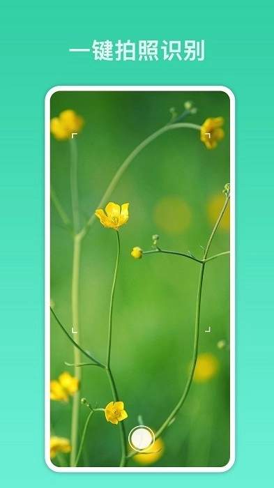 拍照识别君