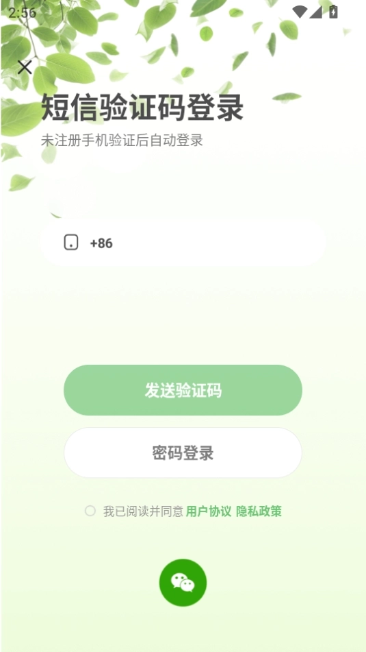 一棵树的来信图1