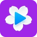 梨花视频播放器