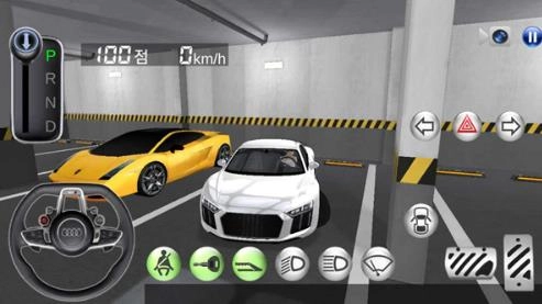 3D驾驶课手机版图3