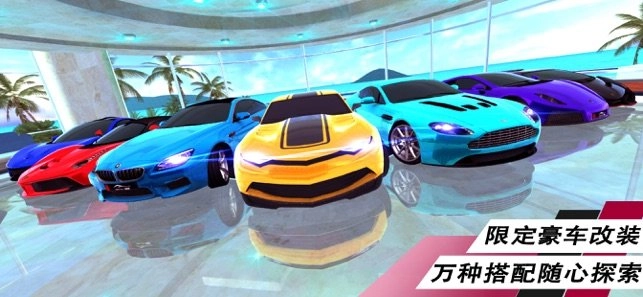 夺冠赛车手(5)