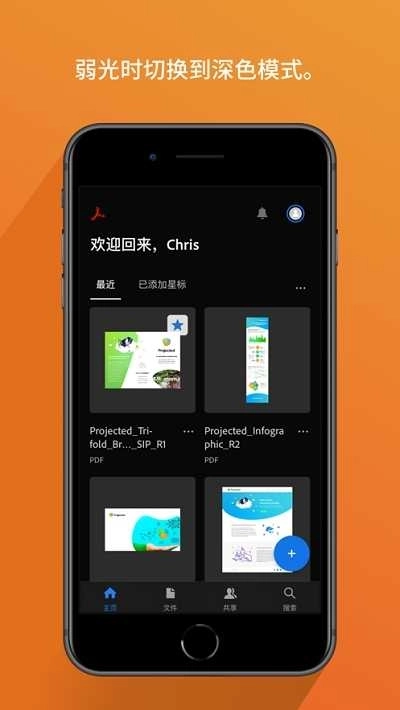 Adobe Acrobat Reader PDF(3)