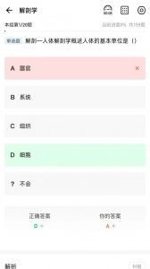 红师在线