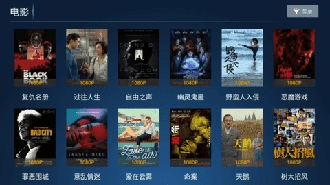 青青影音精品版