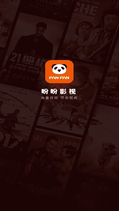 盼盼影视无广告版