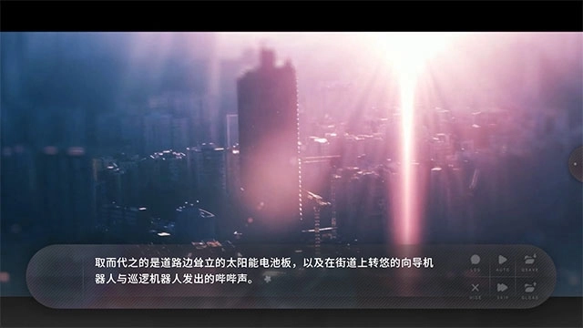 夏末盛開的花圖1