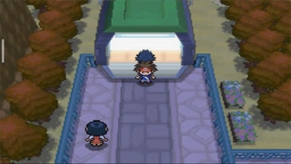 口袋妖怪超透黑2(3)