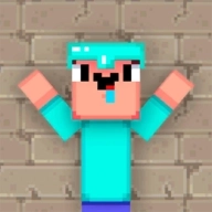 菜鸟沙盒3D:动作世界