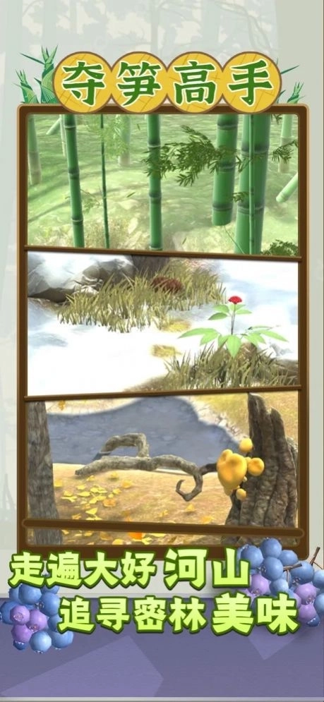 夺笋高手正版(4)