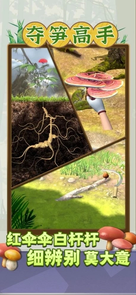 夺笋高手正版(2)
