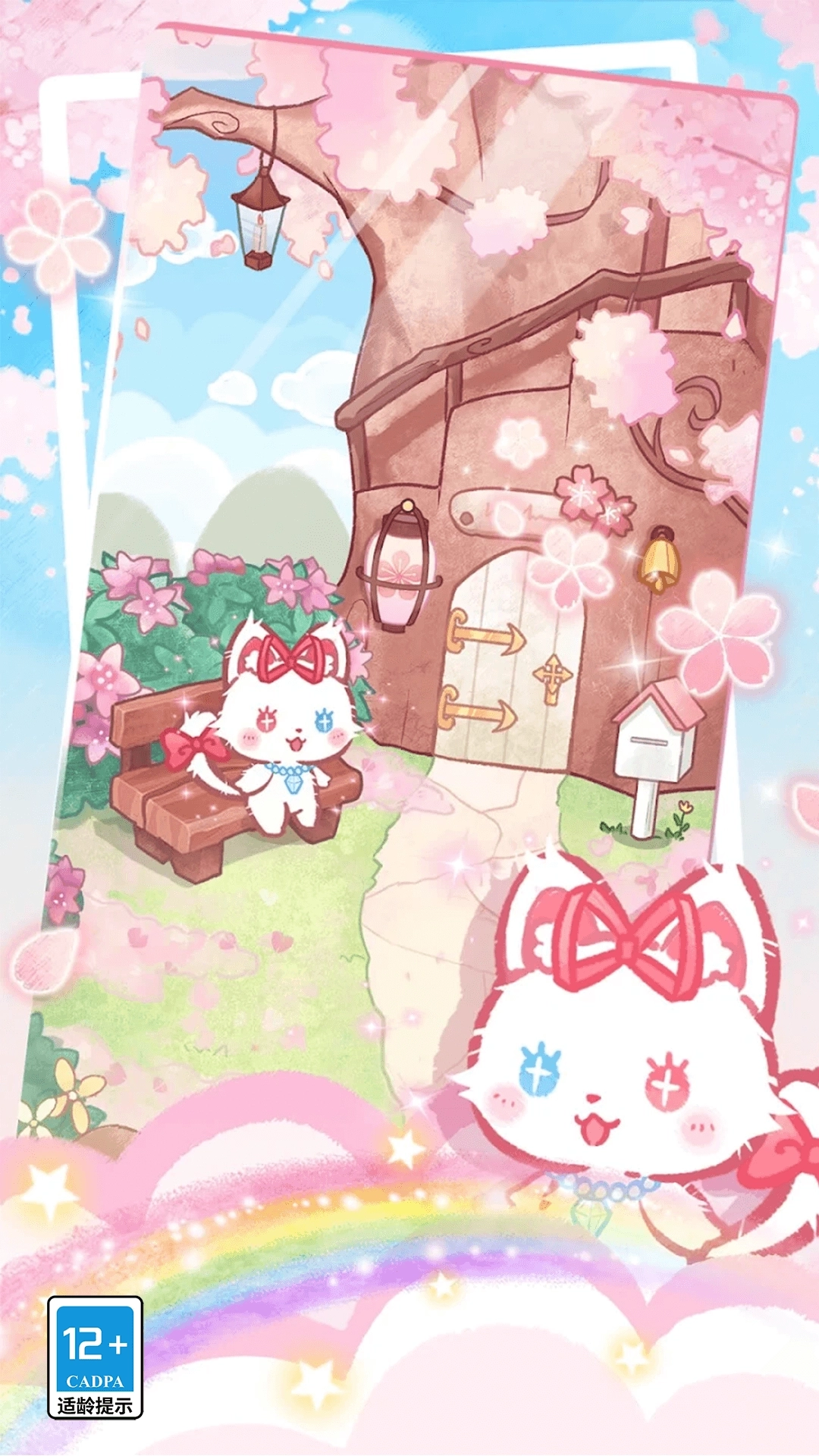 我的可爱猫咪(4)