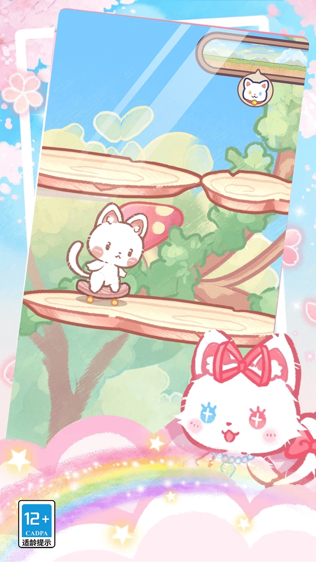 我的可爱猫咪(2)