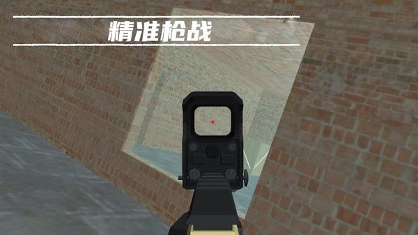 反恐终极行动(3)