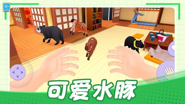 我的卡皮巴拉(3)