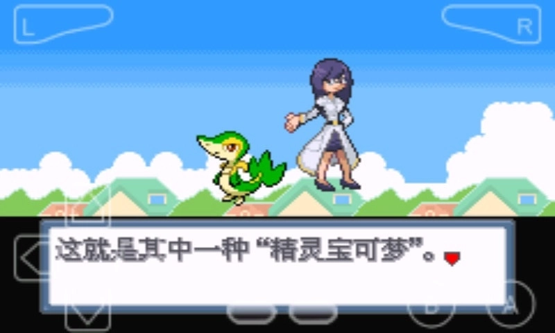 口袋妖怪白金光-图1